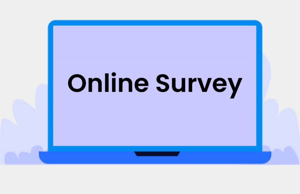 Online Surveys